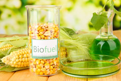 Egypt biofuel availability